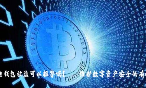 区块链钱包被盗可以报警吗？——维护数字资产安全的有效指南