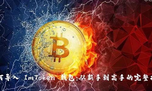 如何导入 ImToken 钱包：从新手到高手的完整指南