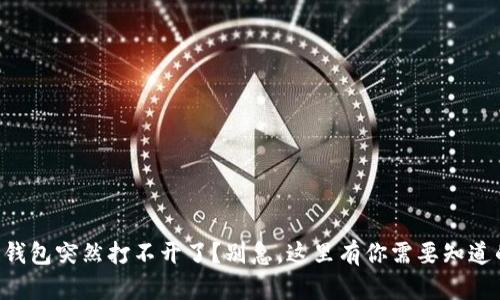 区块链钱包突然打不开了？别急，这里有你需要知道的一切！
