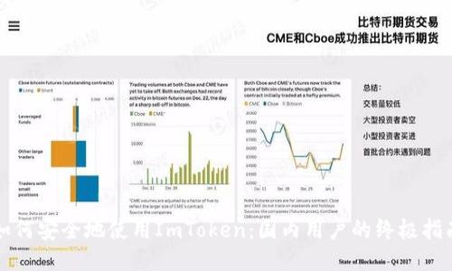 如何安全地使用ImToken：国内用户的终极指南