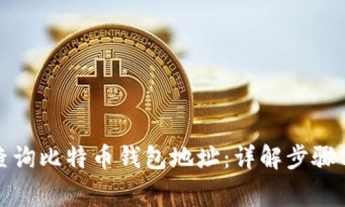 如何轻松查询比特币钱包地址：详解步骤与注意事项