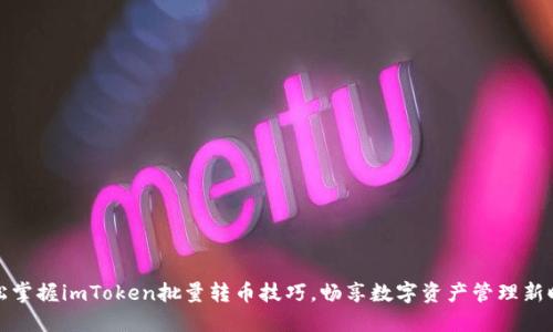 轻松掌握imToken批量转币技巧，畅享数字资产管理新时代