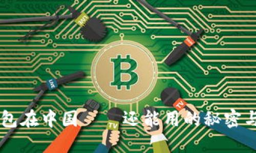 IM钱包在中国——还能用的秘密与技巧