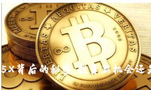 揭开虚拟币5X背后的秘密：投资新机会还是泡沫危机？
