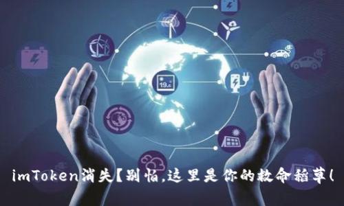 imToken消失？别怕，这里是你的救命稻草！