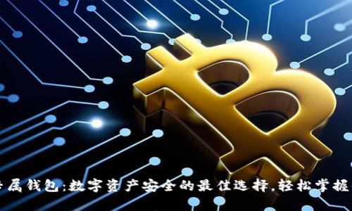 区块链专属钱包：数字资产安全的最佳选择，轻松掌握你的财富
