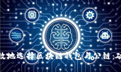 如何安全高效地选择区块链钱包与公链：破解转账之谜