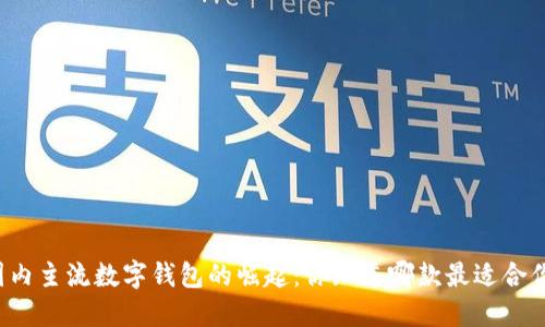 国内主流数字钱包的崛起：你知道哪款最适合你？