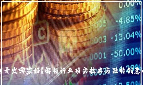 区块链开发哪家好？解锁行业顶尖技术与独特创意的秘密