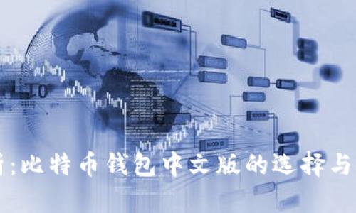 深度解析：比特币钱包中文版的选择与使用指南