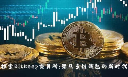 探索BitKeep交易所：聚焦多链钱包的新时代