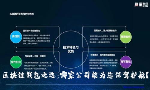 区块链钱包之选：哪家公司能为您保驾护航？