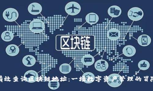 如何有效查询区块链地址：一场数字资产管理的冒险之旅