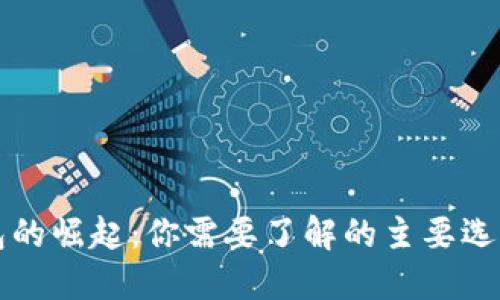 美国数字钱包的崛起：你需要了解的主要选择和流行趋势