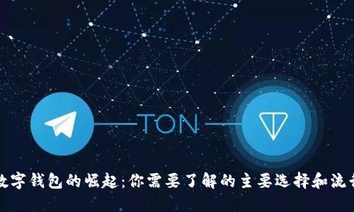 美国数字钱包的崛起：你需要了解的主要选择和流行趋势