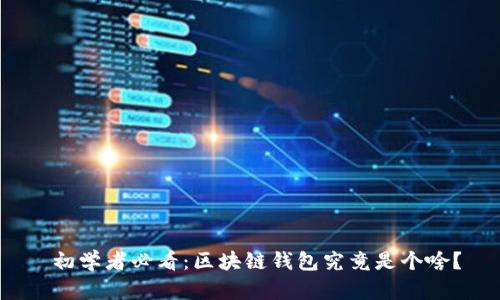  初学者必看：区块链钱包究竟是个啥？