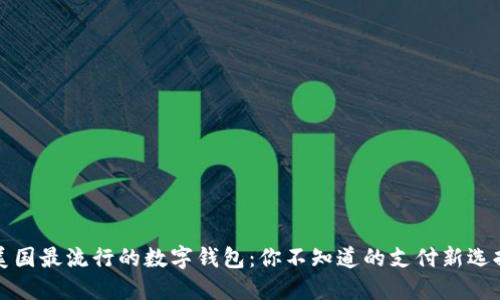 美国最流行的数字钱包：你不知道的支付新选择