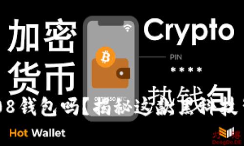 你真的知道如何使用808钱包吗？揭秘这款黑科技背后的使用技巧与陷阱！