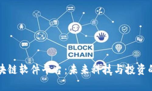 揭秘区块链软件平台：未来科技与投资的交汇点